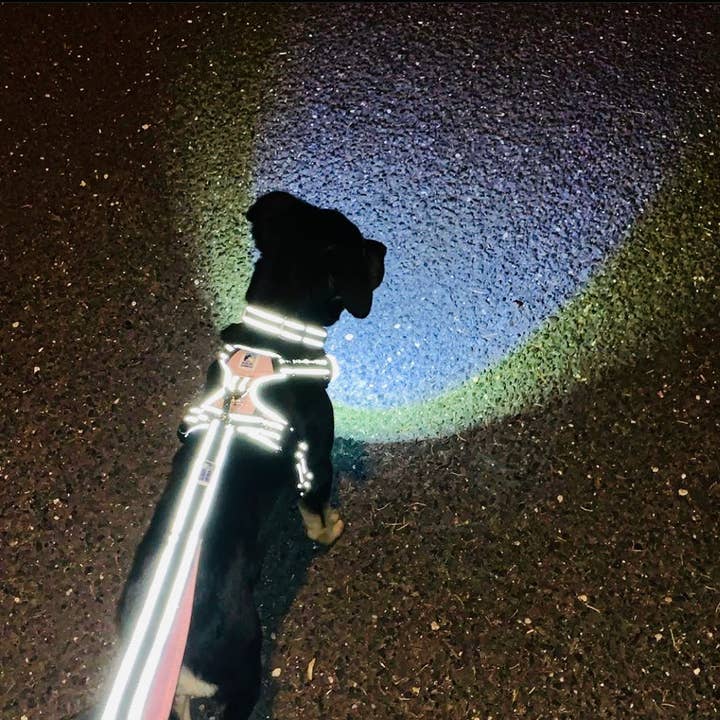 Headlight Harness - Venta al por mayor Correa - Perros - Correa reflectante de doble asa para perros6