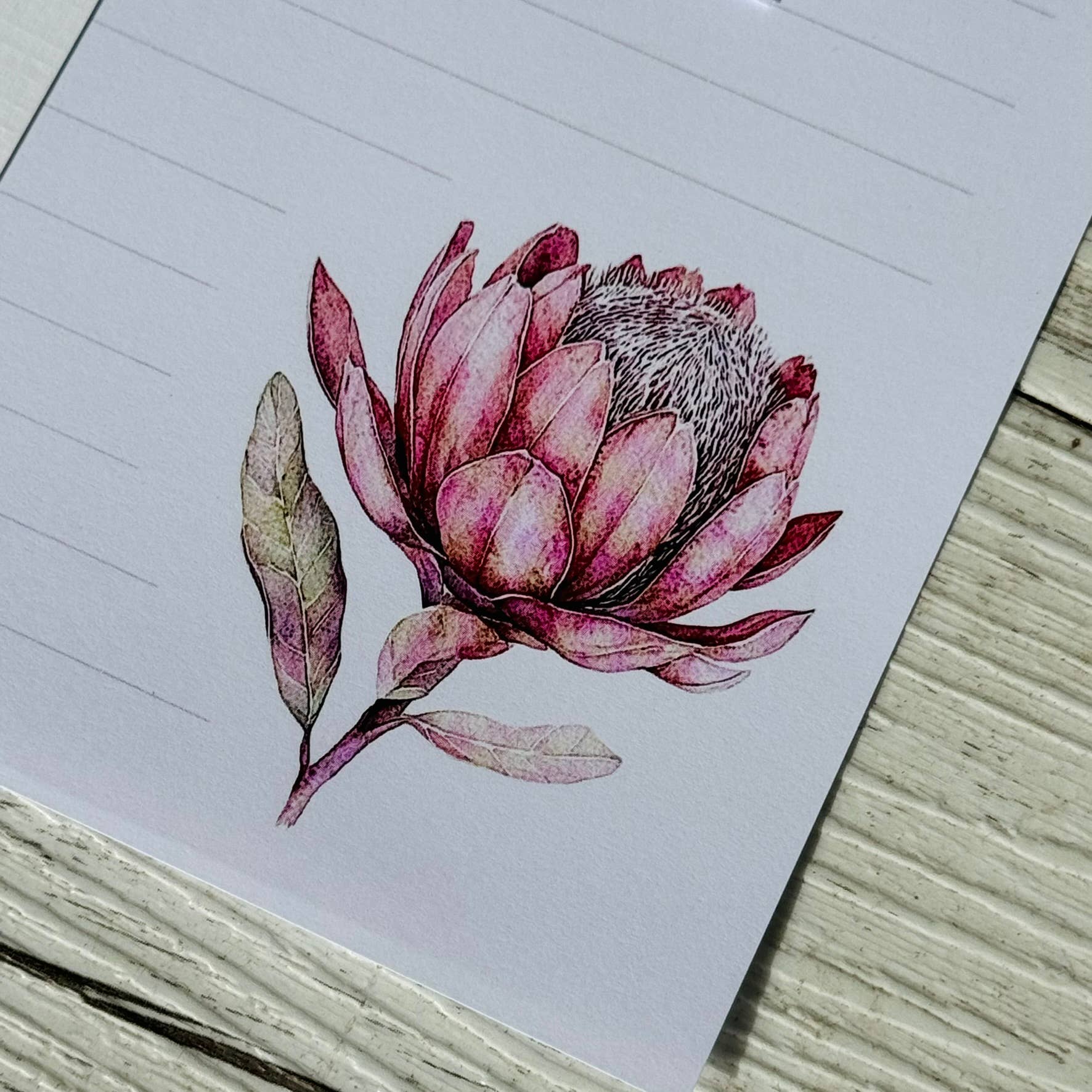 Scattered Seed Co - Vente Assortiments de papeterie/cartes - Ensemble de papier à lettres FLEURS ROSES6