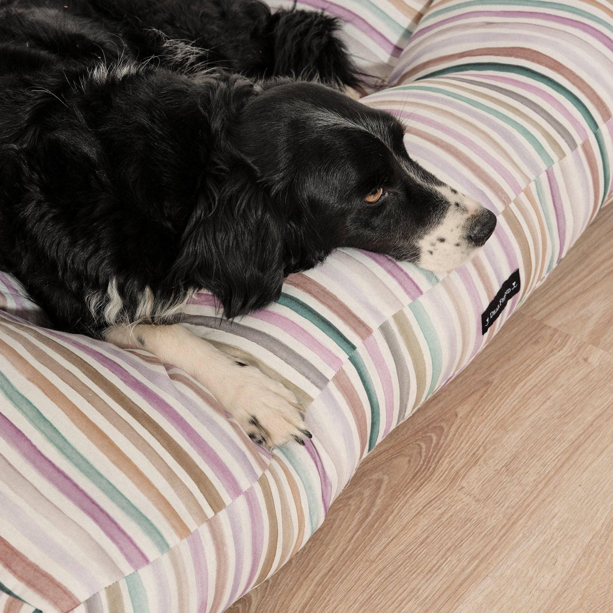 SG HOGAR - Wholesale Pet Bed - Dog - Naiara 4-100 quilted stain-resistant dog and cat bed2