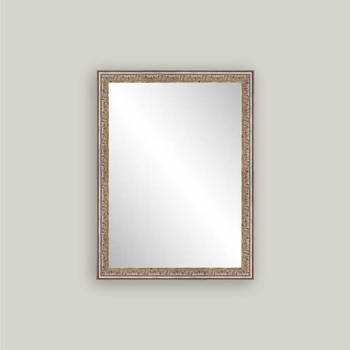 Petal Lane Home - Wholesale Wall mirror - Silver Gold Framed Mirror2