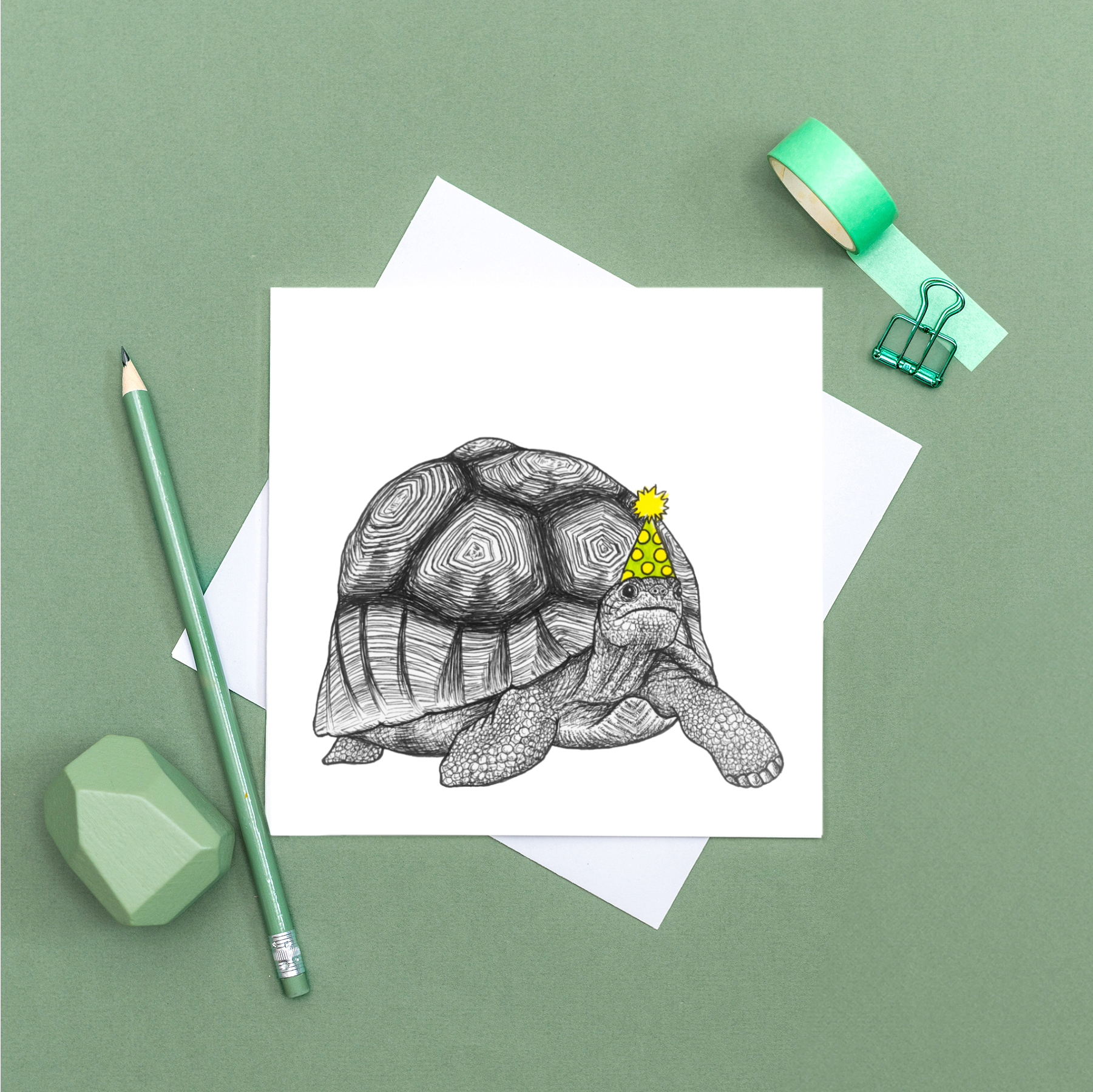 Wild Lines - Wholesale Birthday Card - Animal Birthday Card - Party Tortoise // Eco-friendly Cards // Wildlife Art Cards4