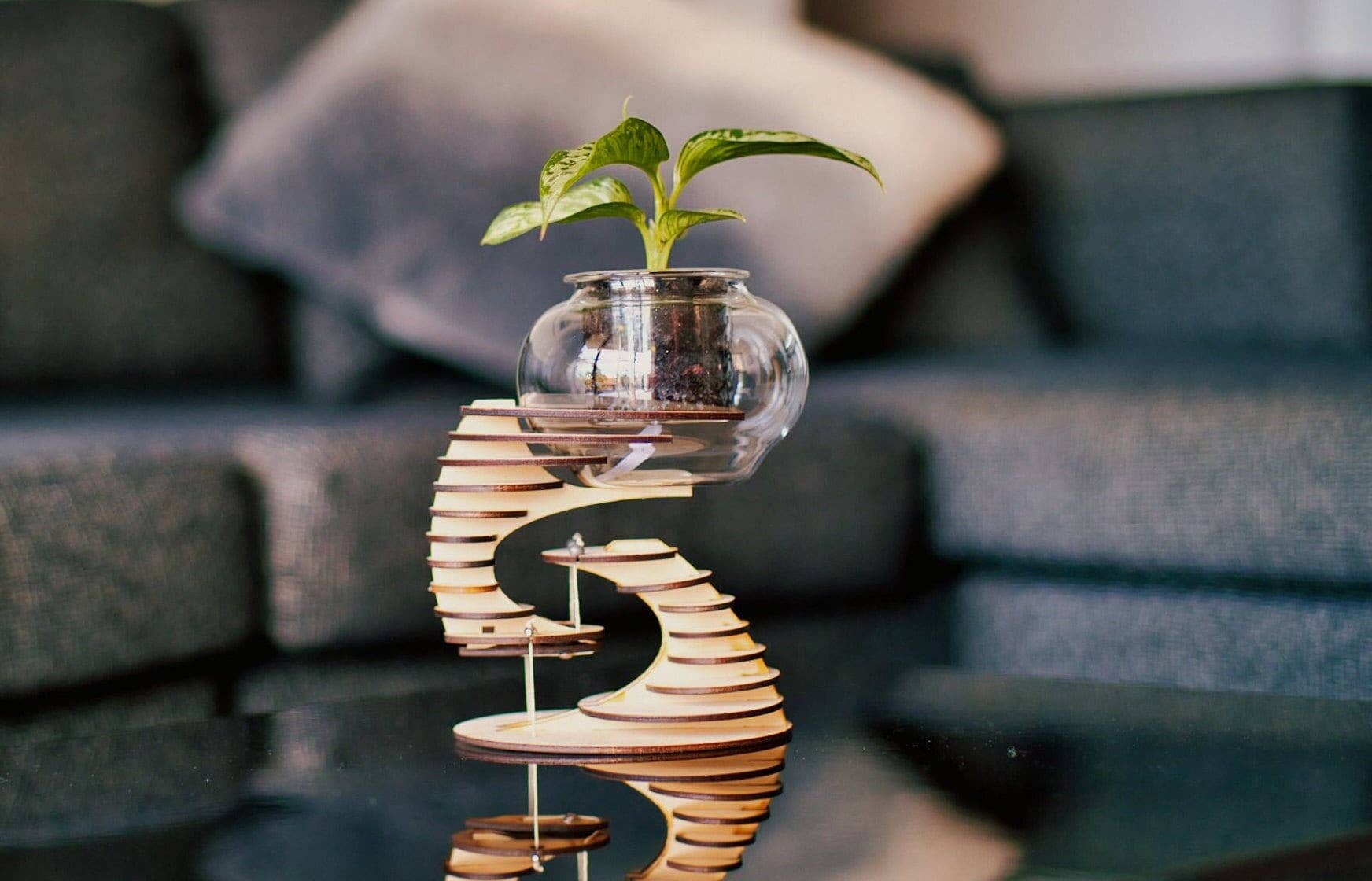 Polygon Jungle – Großhandel Bastelset – Plant-A-Float - Schwimmender Pflanzenständer aus Holz Bastelset0