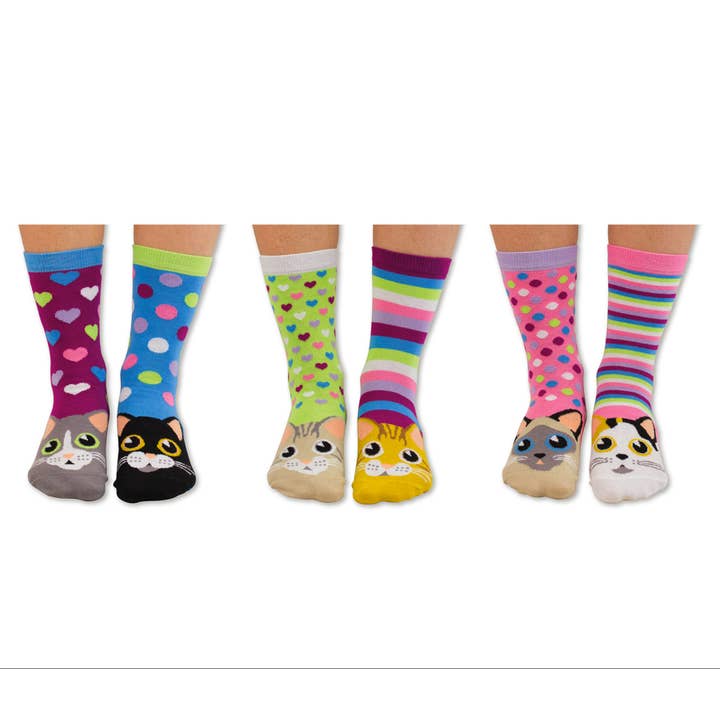 Sock Academy – wholesale Socks – Unisex – CATWALK | 6 Odd Socks Gift Box - United Oddsocks1