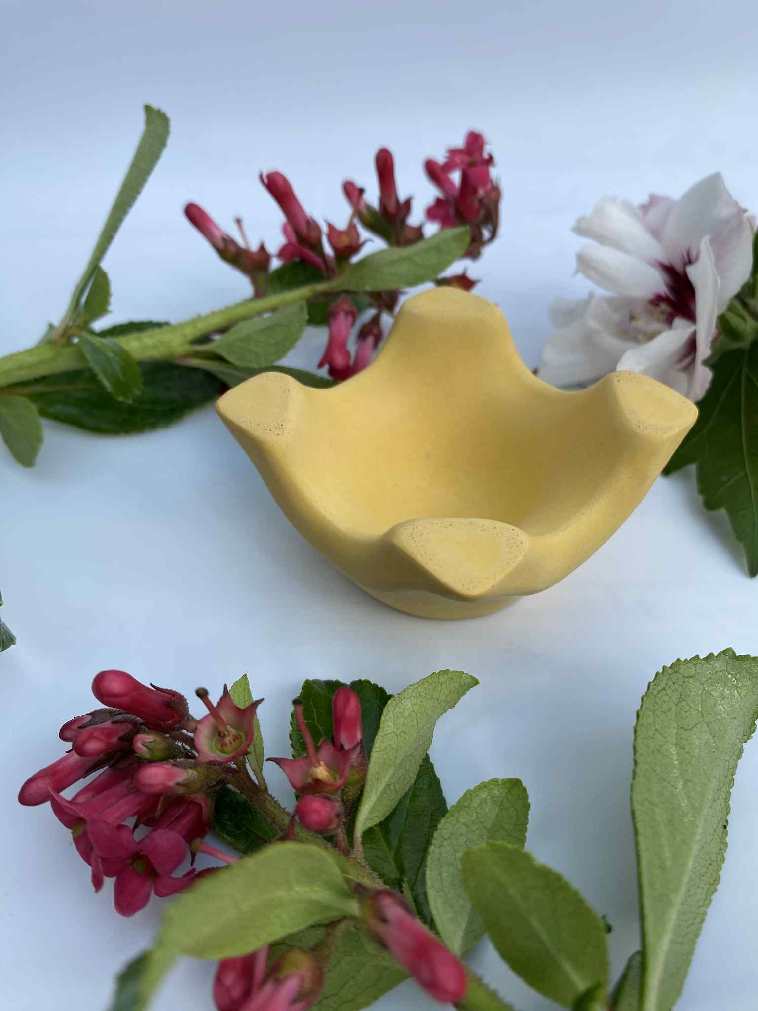 Little Lottie’s - Wholesale Egg cup/holder - Yellow Egg Cup – Colourful Breakfast Tableware2