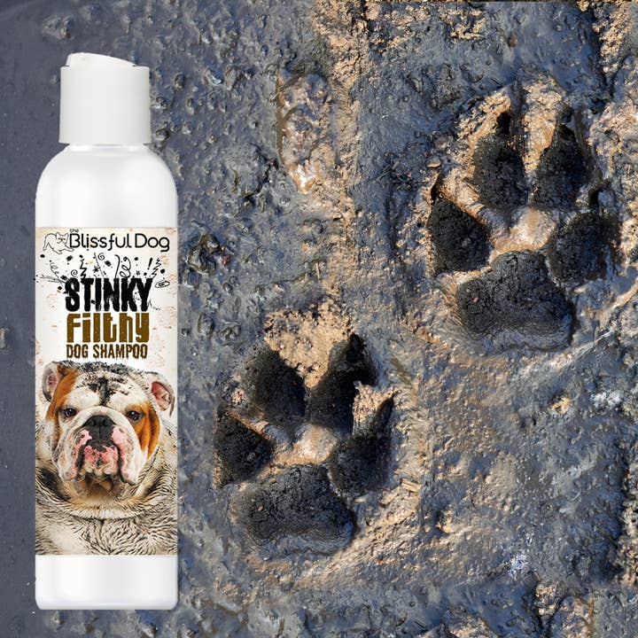 The Blissful Dog – Engroshandel Shampoo - Hund – Stinkende Beskidte Hund Shampoo til dit beskidte dyr af en hund2