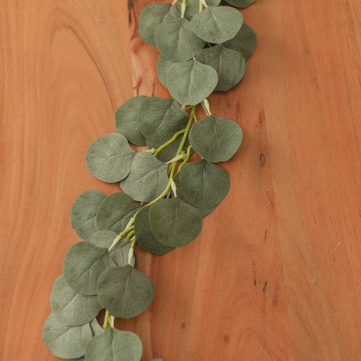 Eucalypt Co. - Wholesale Bunting/Garland - Eucalyptus Garland