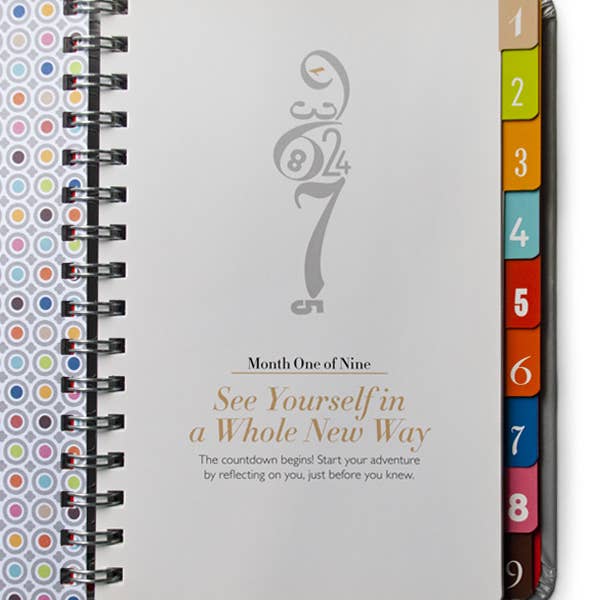 Wry Baby - Wholesale Journal/Diary - Maternity - The Nine, A Pregnancy Countdown Journal | Maternity Book