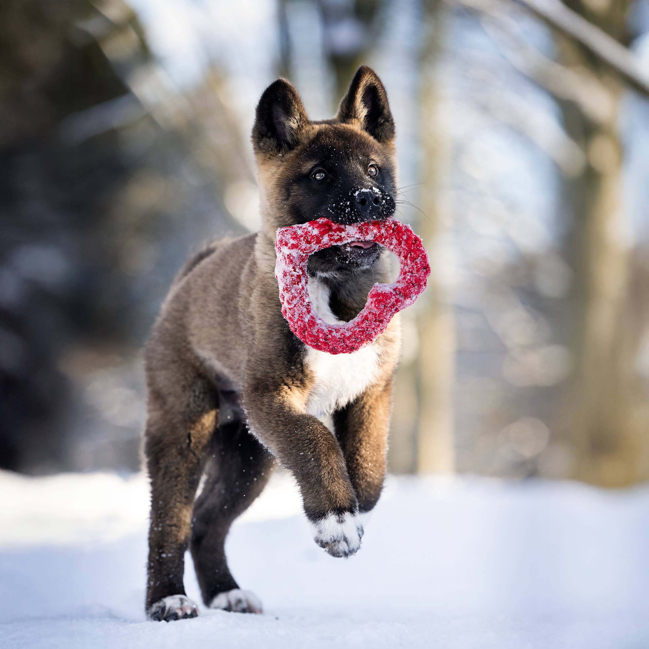 LABONI - Volentis GmbH - Vente Jouet en corde – chien - HERTHA HEART – Amour à mâcher8
