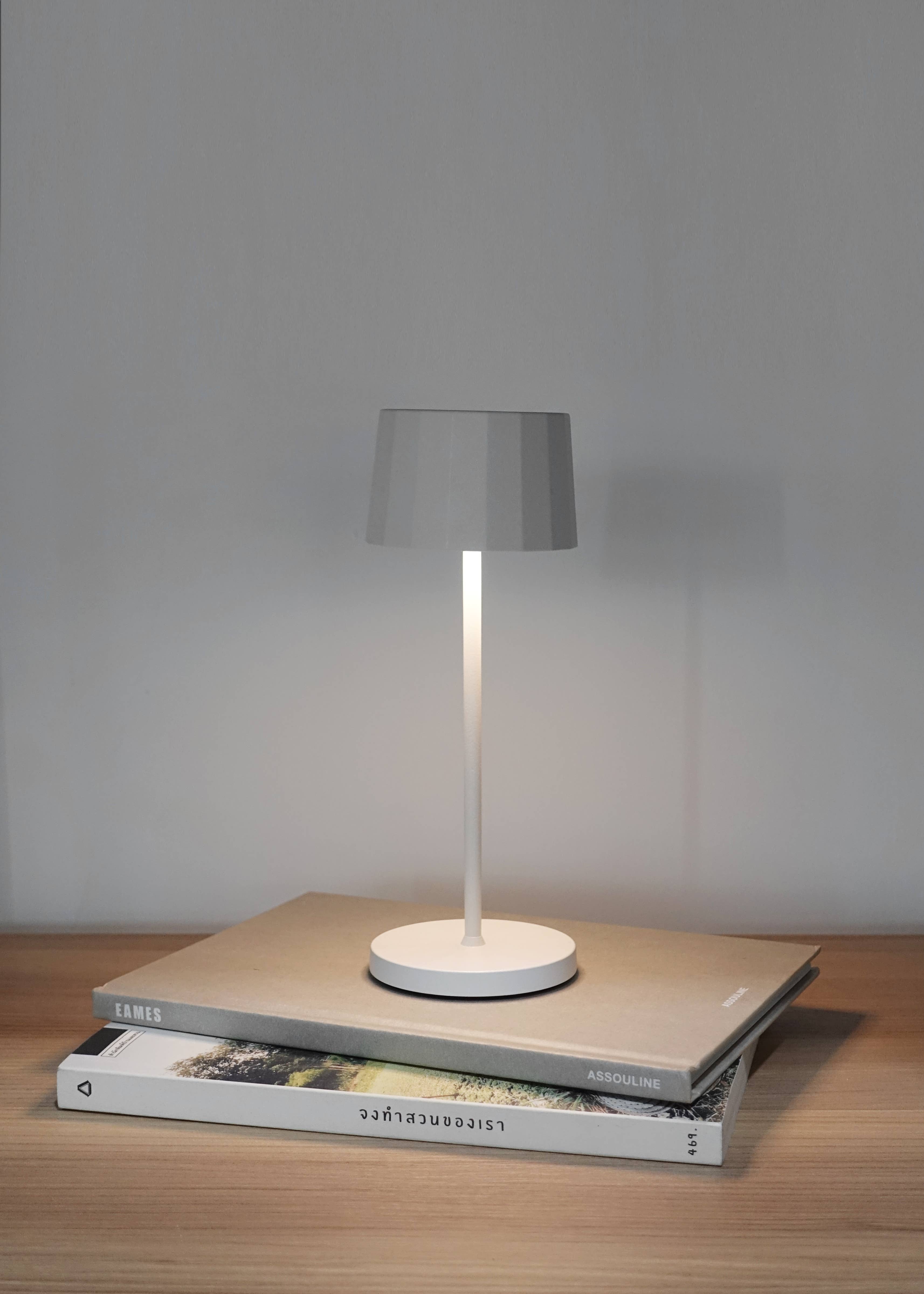 PDM Brand - Wholesale Accent/Desk Lamp - Rechargeable Wireless Lamp – Dimmable + Portable Light16