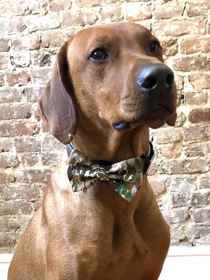 Camouflage Bow Tie for wholesale by Koa's Ruff Life