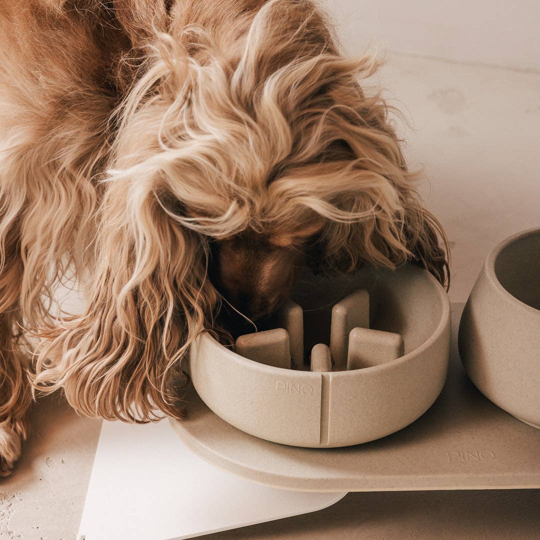 PINO - Wholesale Pet Bowl - Dog - Slow Feeder Bowl22