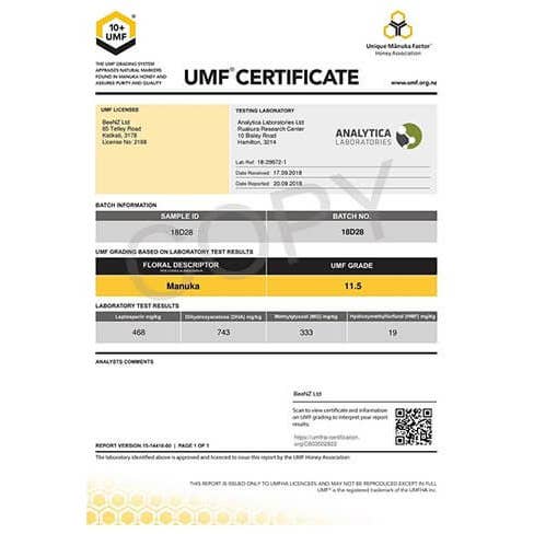 TASTE FOR YOU - Wholesale Honey - Manuka Honey UMF10+ 263 mg/kg Methylglyoxal (MGO) 500g2