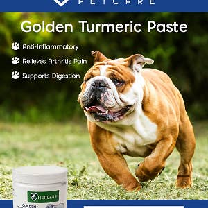 Healers PetCare – Großhandel Nahrungsergänzungsmittel für Haustiere – Hund – Heiler Goldene Kurkuma-Paste