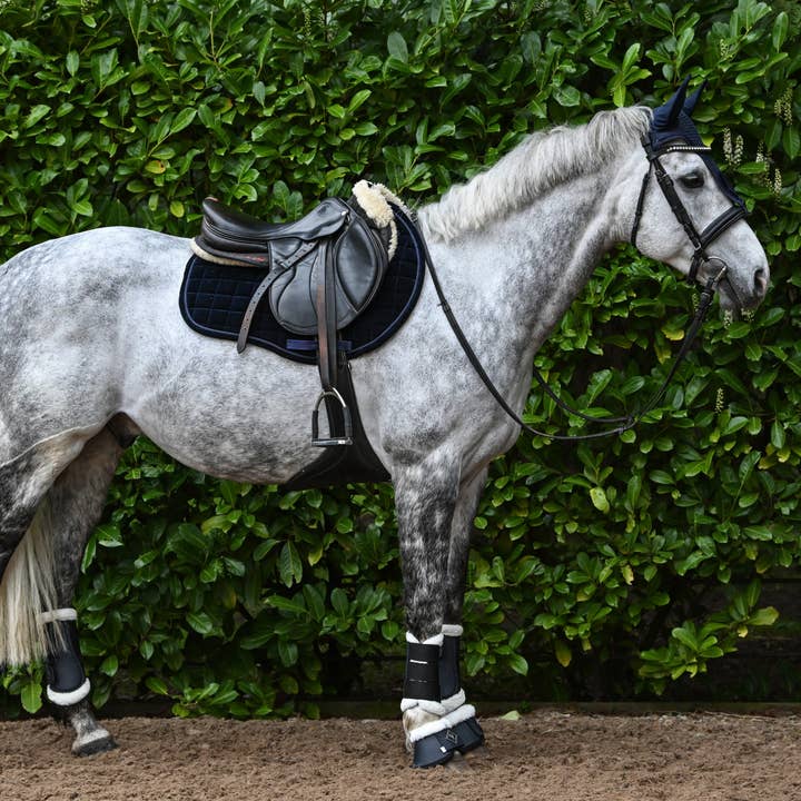 The Urbany Equine – wholesale Ridutrustning – Marinblå Velvet GP sadeldyna