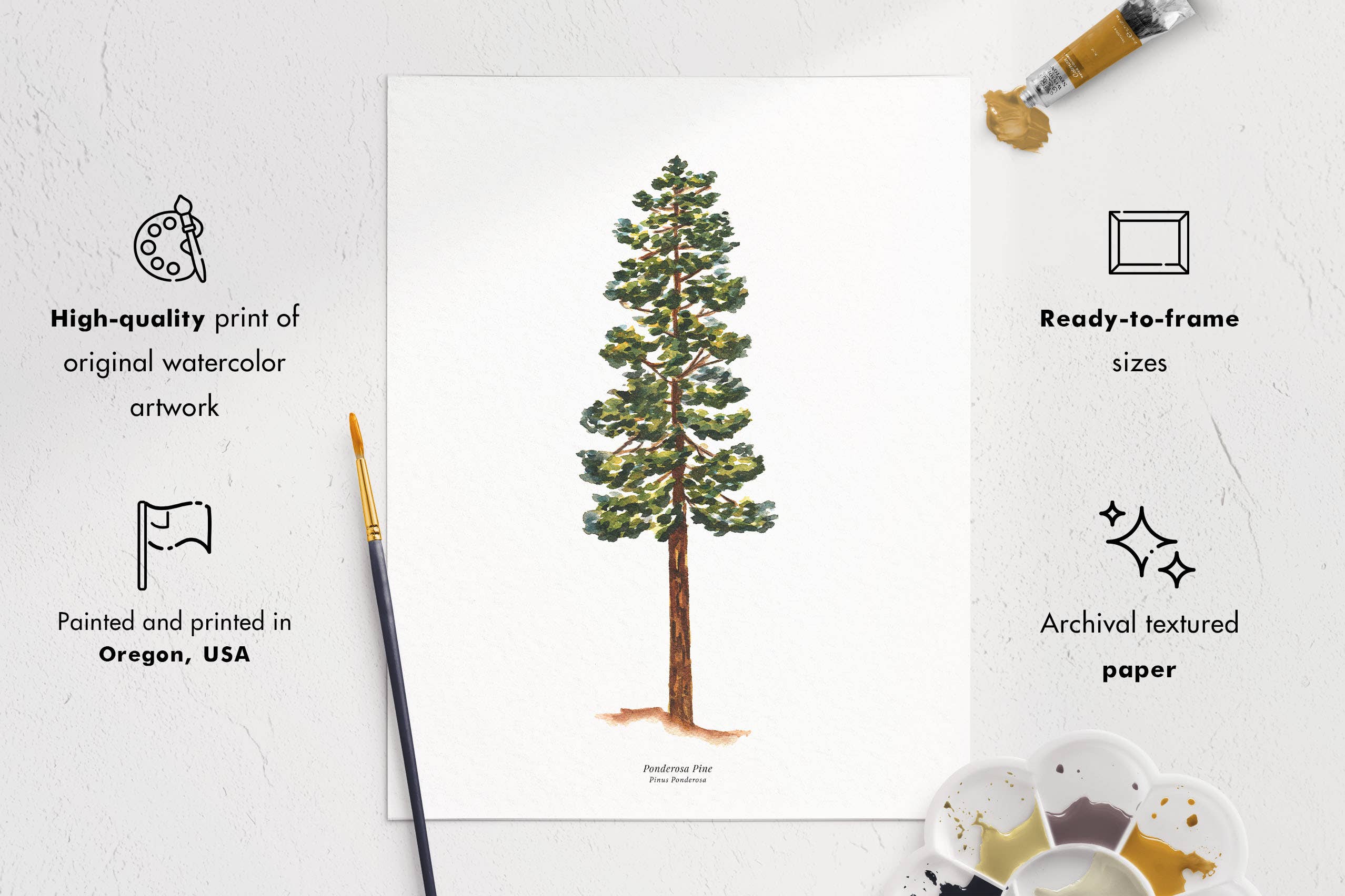 Watercolor Wednesday - Wholesale Art Print - Tree Art Print | Watercolor Ponderosa Pine Nature Wall Art3