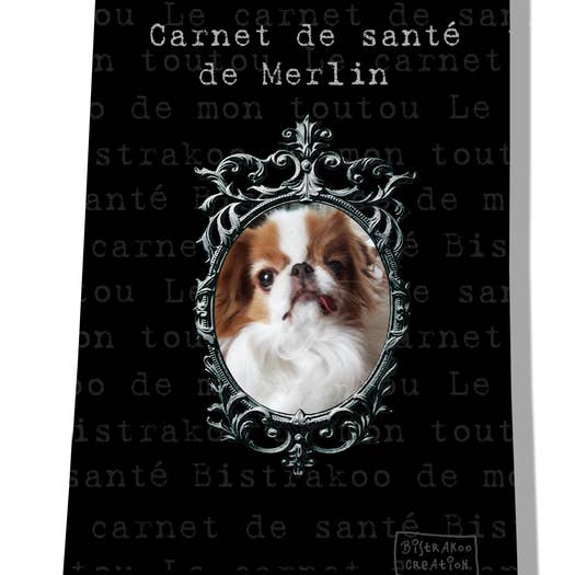 Custodia protettiva personalizzata per cani nera per la vendita all'ingrosso da parte di BISTRAKOO