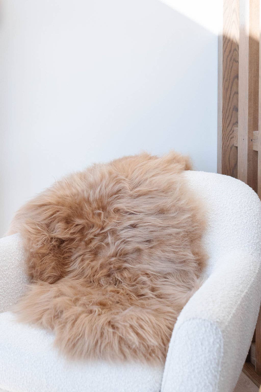 Black Sheep (White Light) - Wholesale Area Rug - Camel Icelandic Sheepskin Throw Rug1