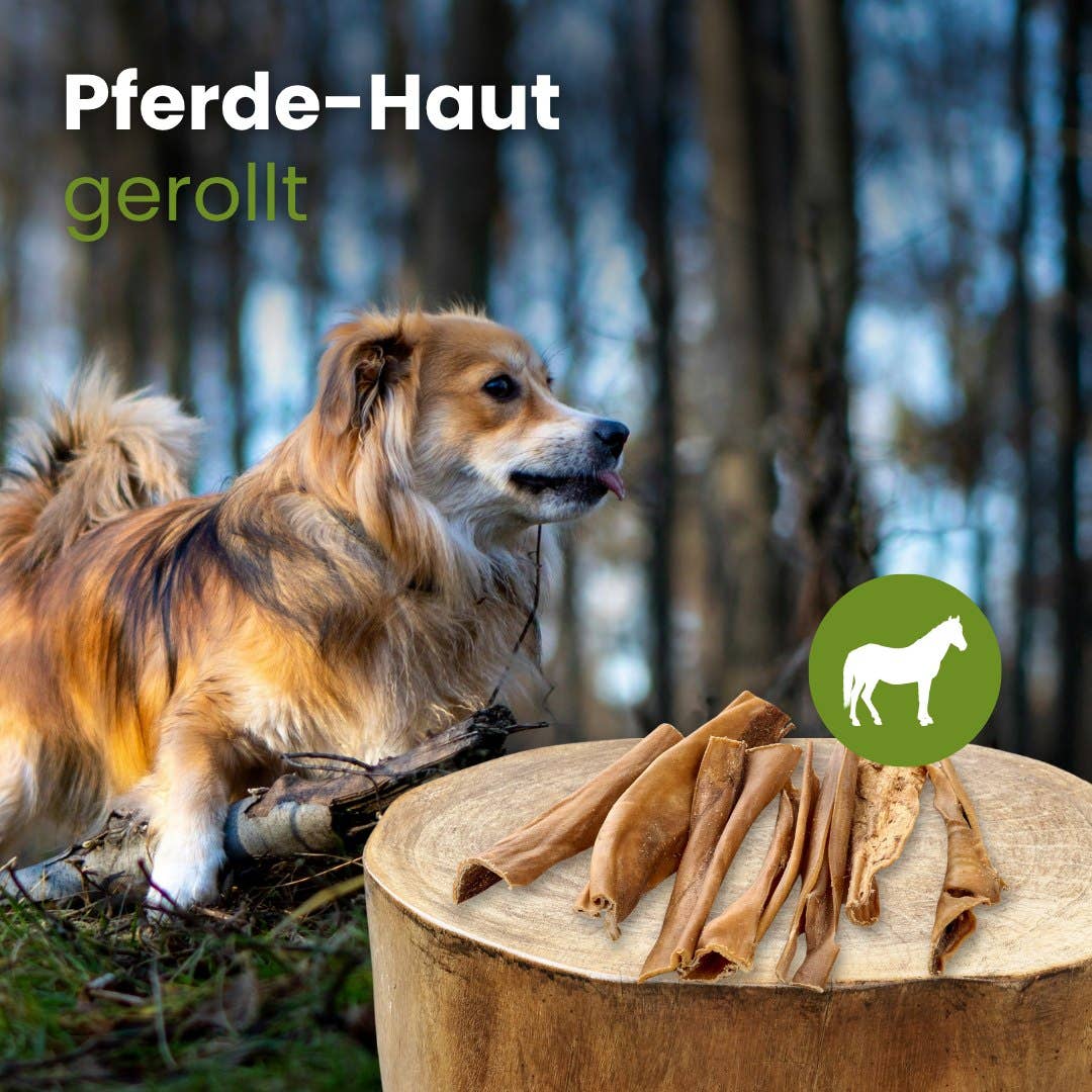 Kauartikel.com GmbH - Wholesale Pet Bone/Rawhide - Dog - horse skin, rolled1