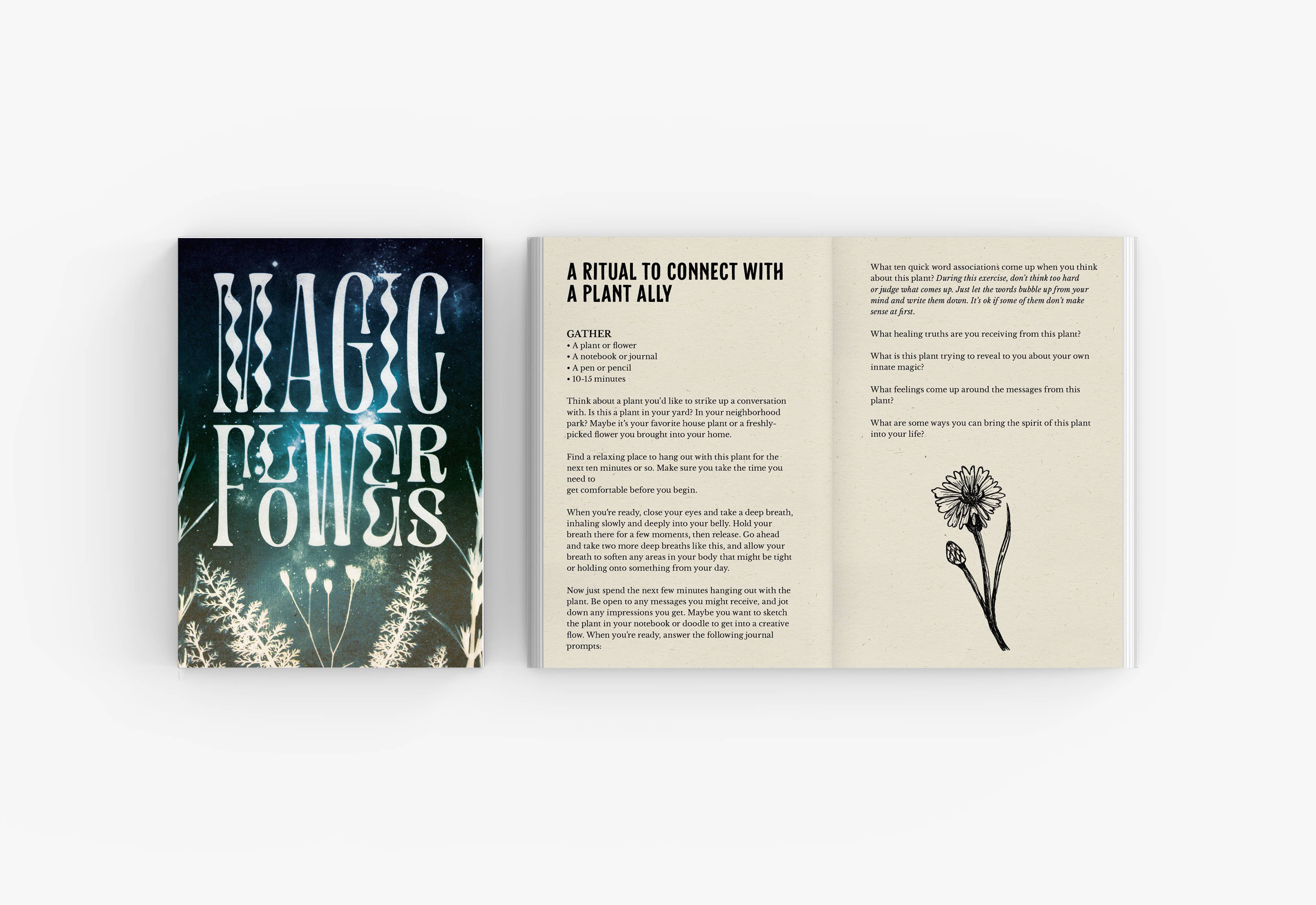 Velvetback - Wholesale Body, Mind & Spirit - Magic Flowers - Softcover Full Color Book and Bookmark7