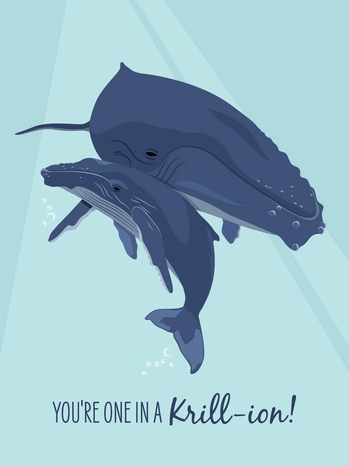 Annat kort - Knölvalar för wholesale av Sailfish Creative