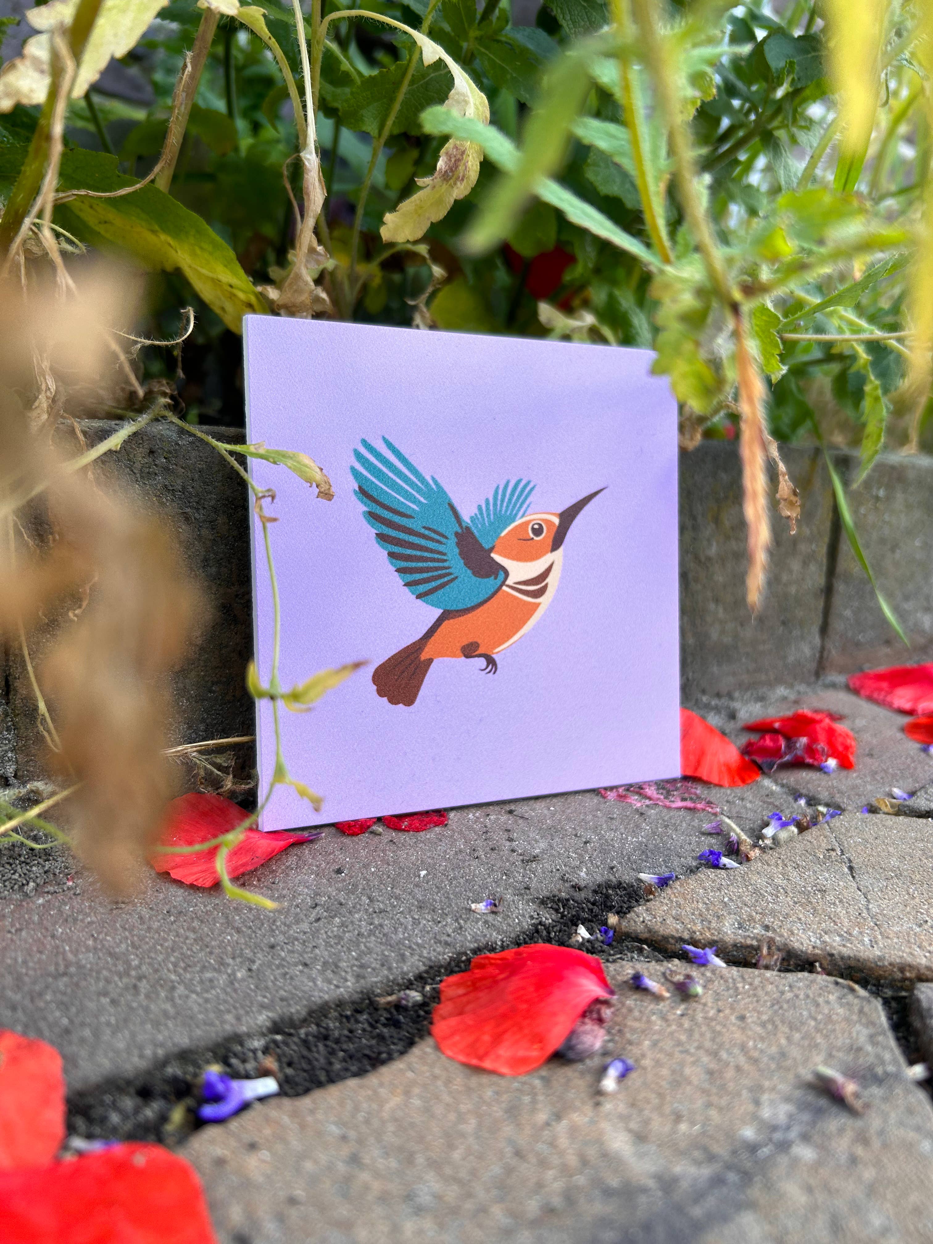 Lourens Exclusive - Wholesale Wall Tile - Forex tile 10x10cm - Bird - #1010300253