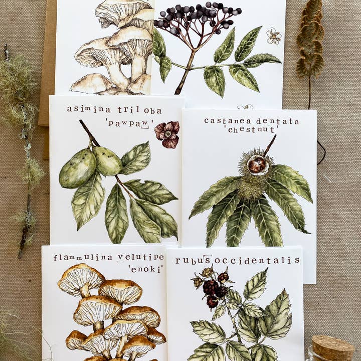 Pack de Cartes de Vœux 'Plantes Sauvages Comestibles' (6 Pièces) pour la vente par Madison Memering (mamemering)