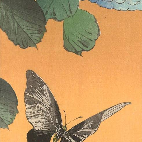 Konsttryck IS-125 Fjäril i flykt för wholesale av Found Image Press