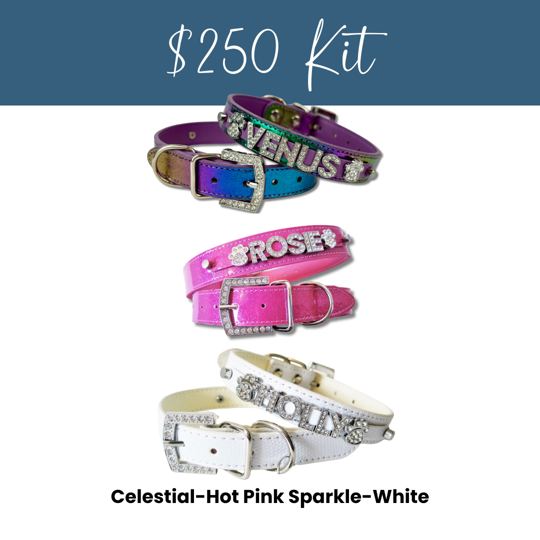 House of FurBaby - Wholesale Pet Collar - Cat/Dog - DIY Pet Collar Bar Kit: Silver Sparkle 280 Pieces $600 Value20