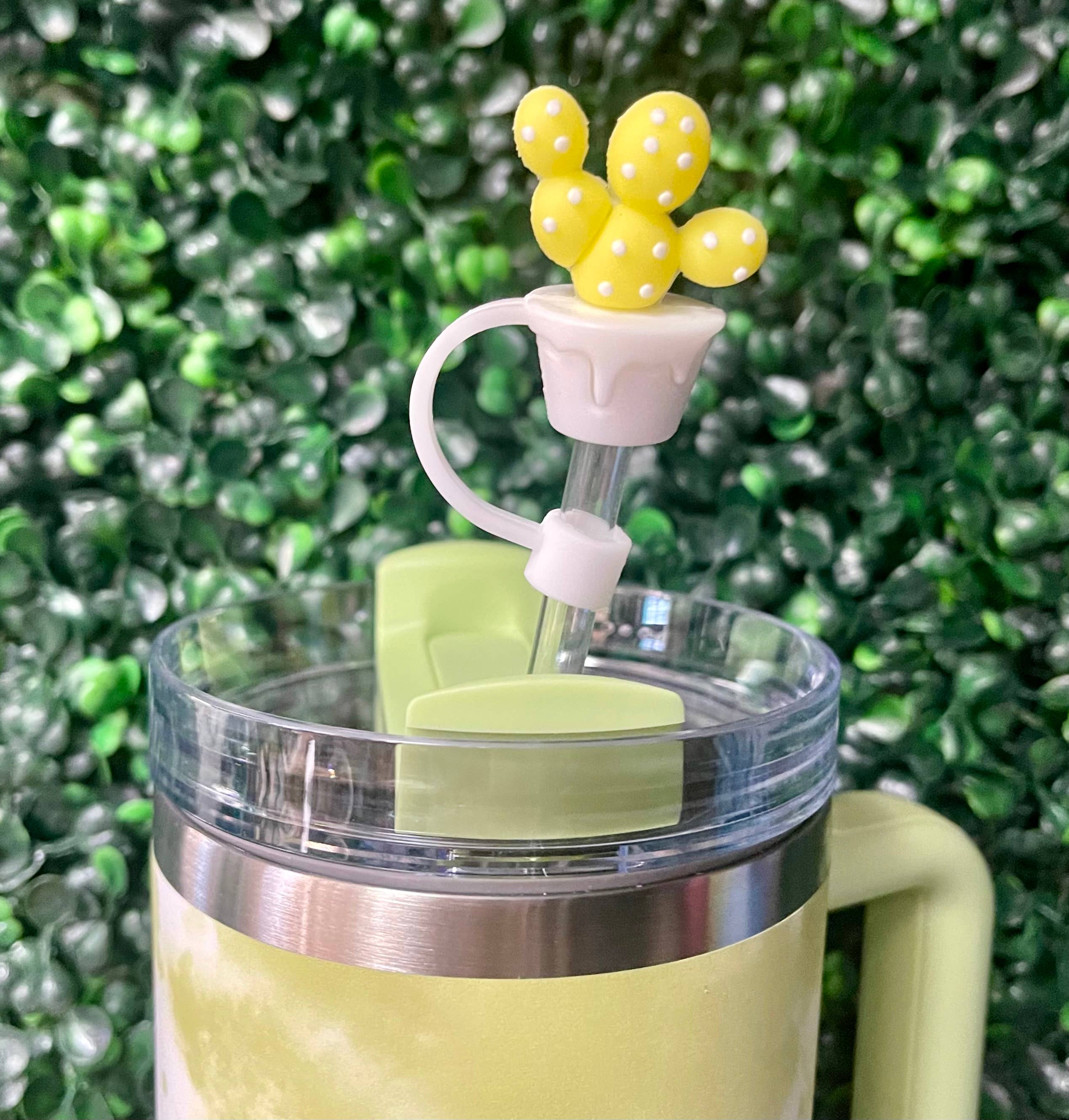 Briano Wholesale - Wholesale Drinking Straw - Cactus Straw Toppers2