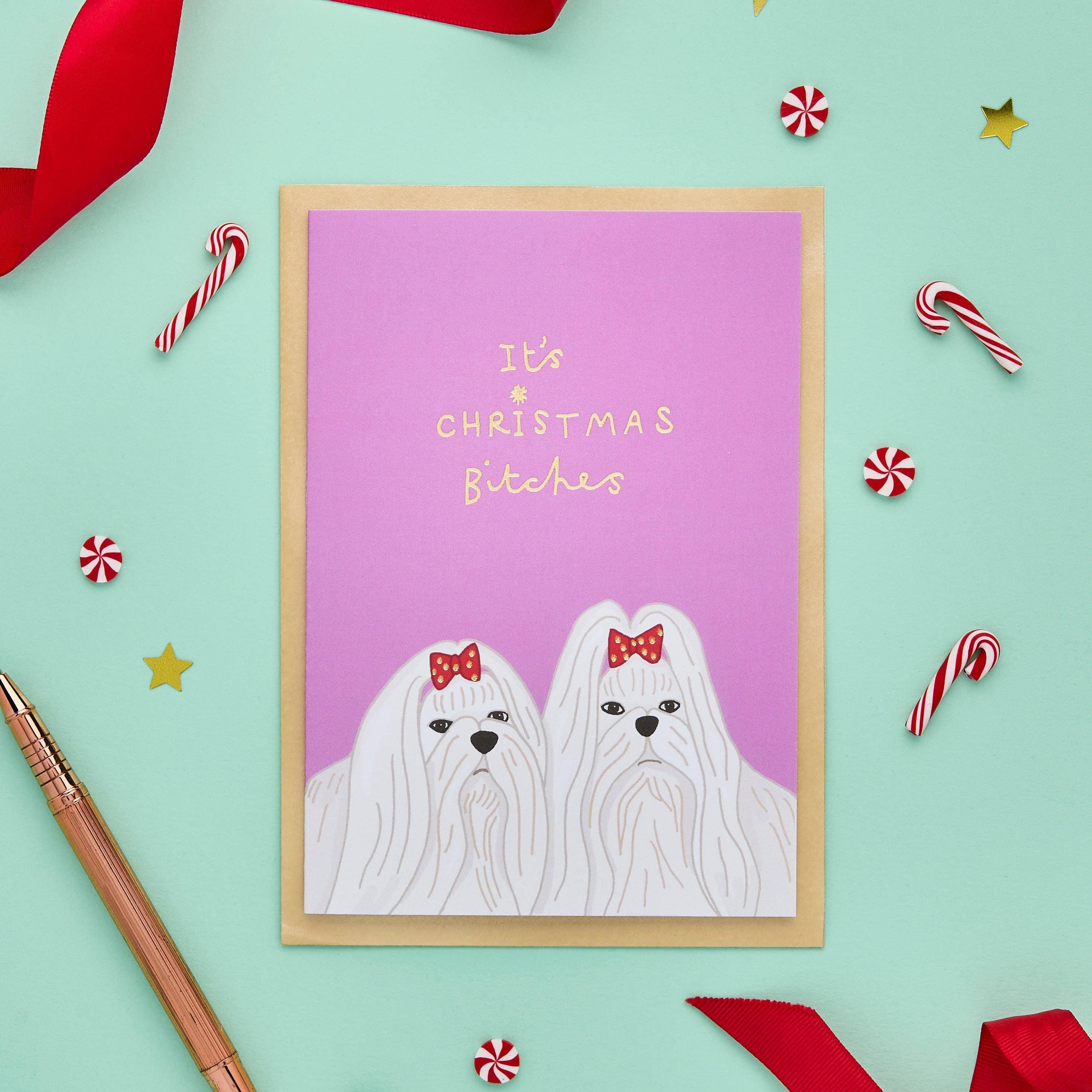 You've Got Pen On Your Face - Wholesale Christmas Card - Christmas Bitches | Funny Christmas Card | Dog Christmas1