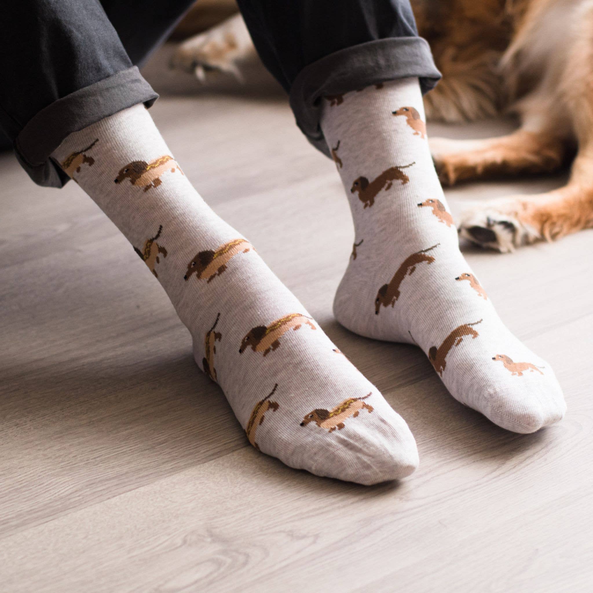 Friday Sock Co. - Wholesale Socks - Men's - Men's Hot Dog Wiener Dog Socks2