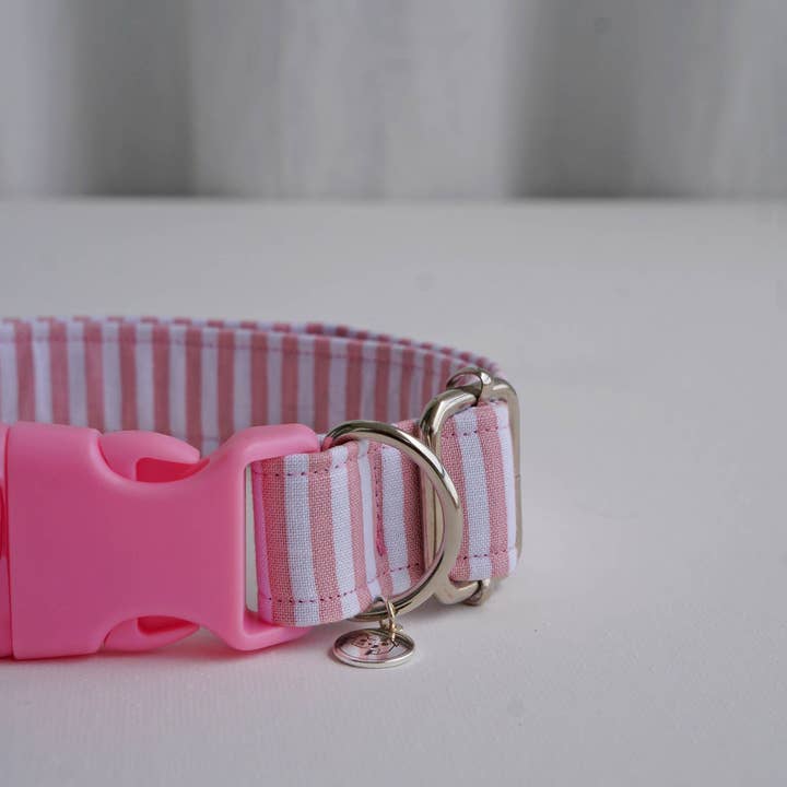 kiwi & WILLOW - Wholesale Pet Collar - Dog - Rose Striped Dog Collar4