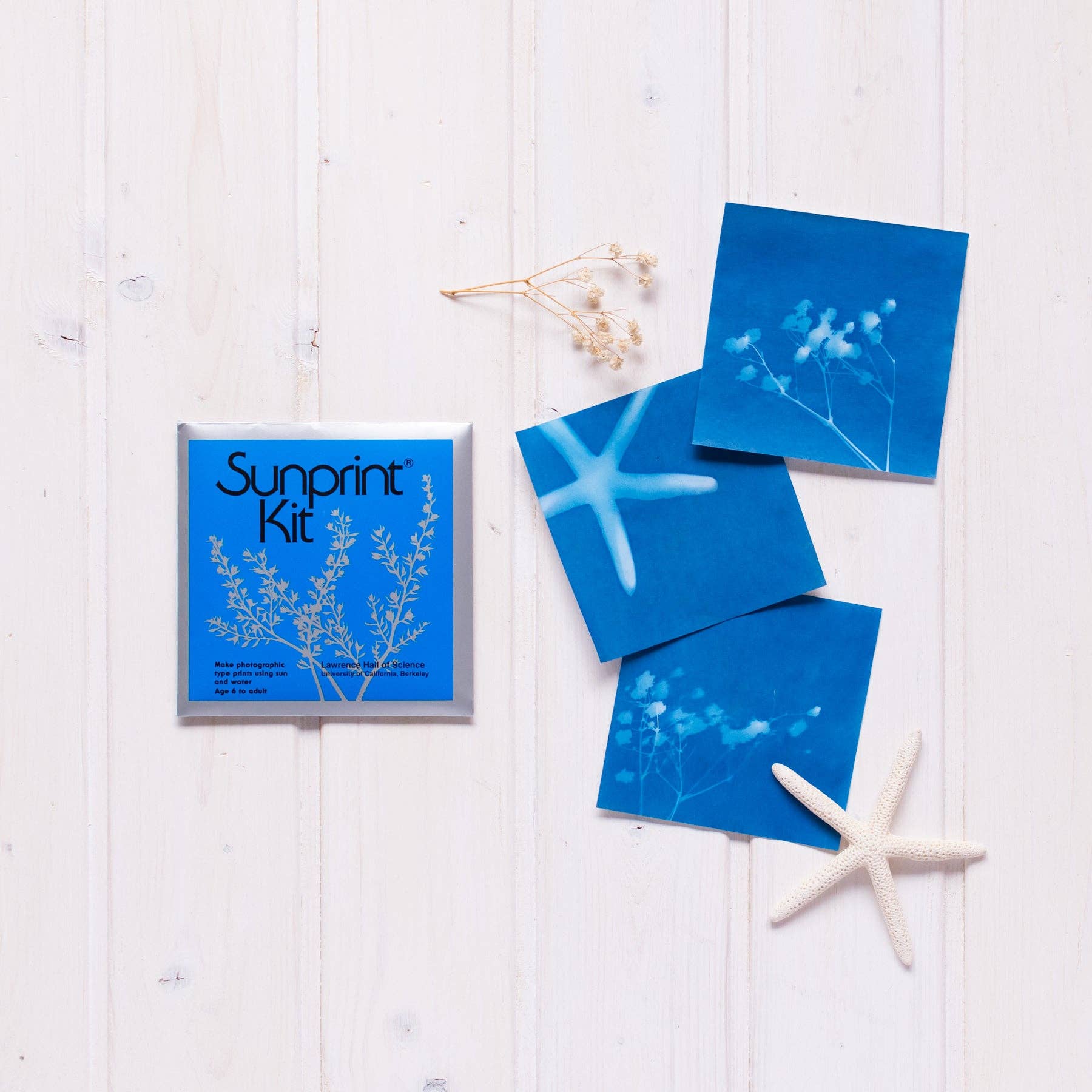 De Uno a Diez – wholesale DIY craft kit – SUNPRINT KIT Blue Cyanotype Paper (Kids 6+)3