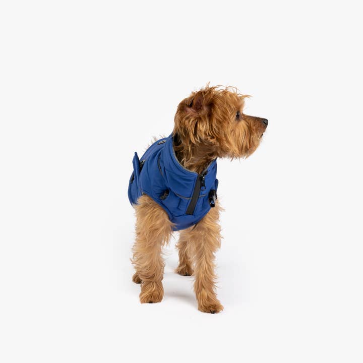 Silver Paw - Wholesale Pet Jacket - Dog - Monty Dog Jacket Water-Resistant Jacket with Harness Attachment & Reflective Piping5