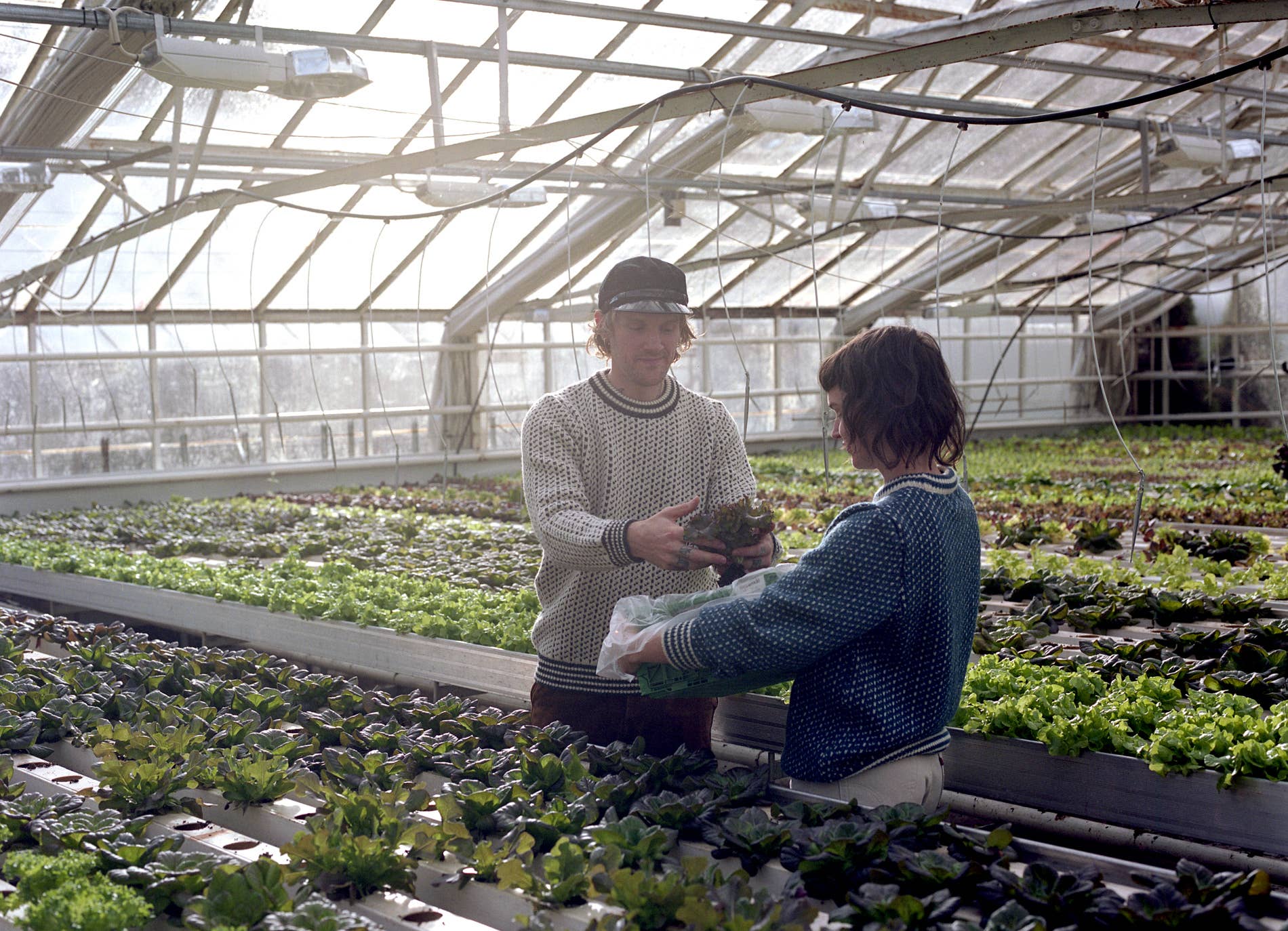 Norlender Knitwear AS - Wholesale Knit Sweater - Unisex - Island - Original fisherman's sweater (378)5