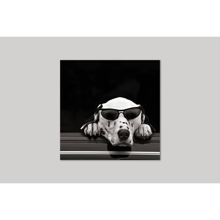 Dalmatian Dude Greeting Card for wholesale by Icon