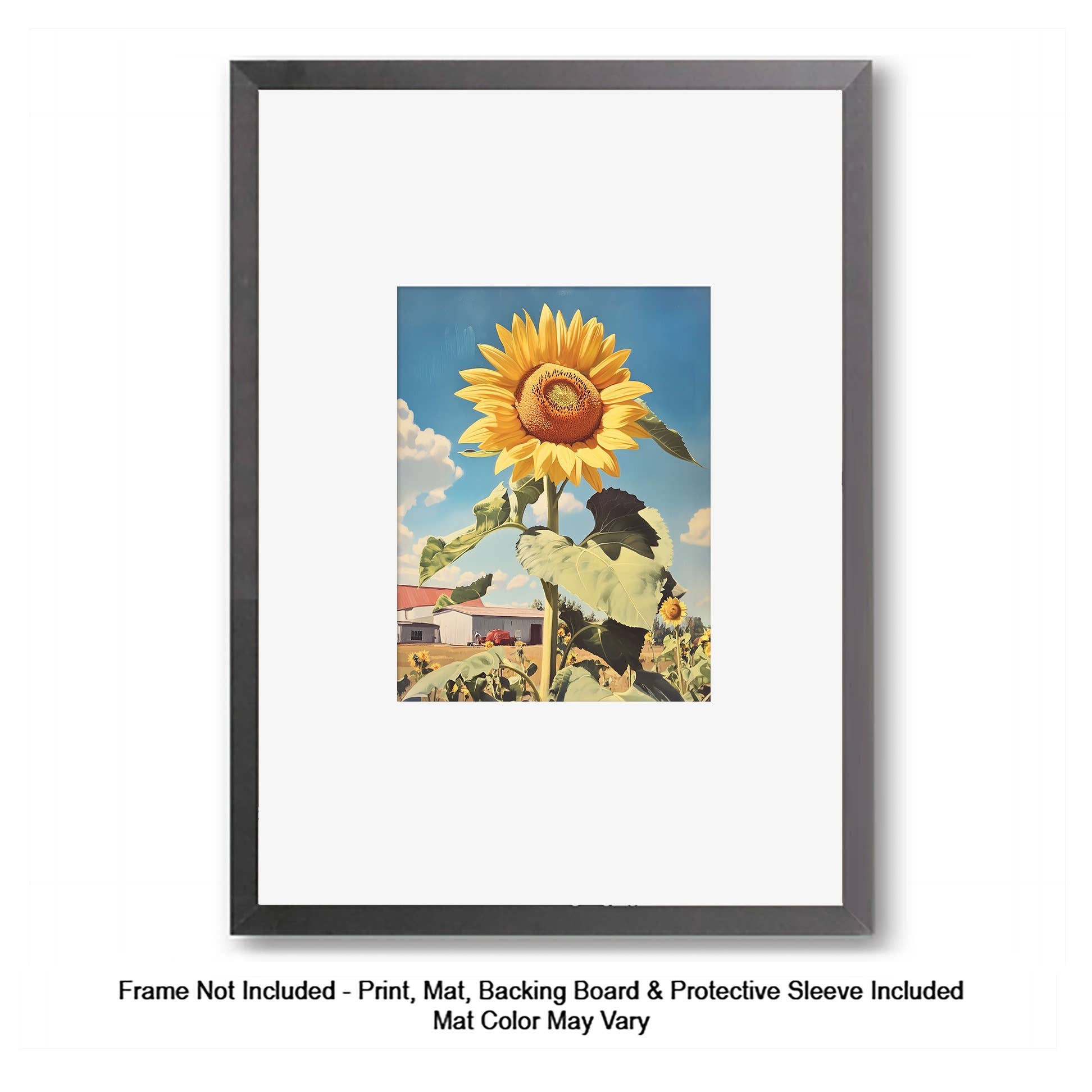 Mowbi - Vendita all'ingrosso Stampa artistica - Fiore Rosa Bicolore Rococò11