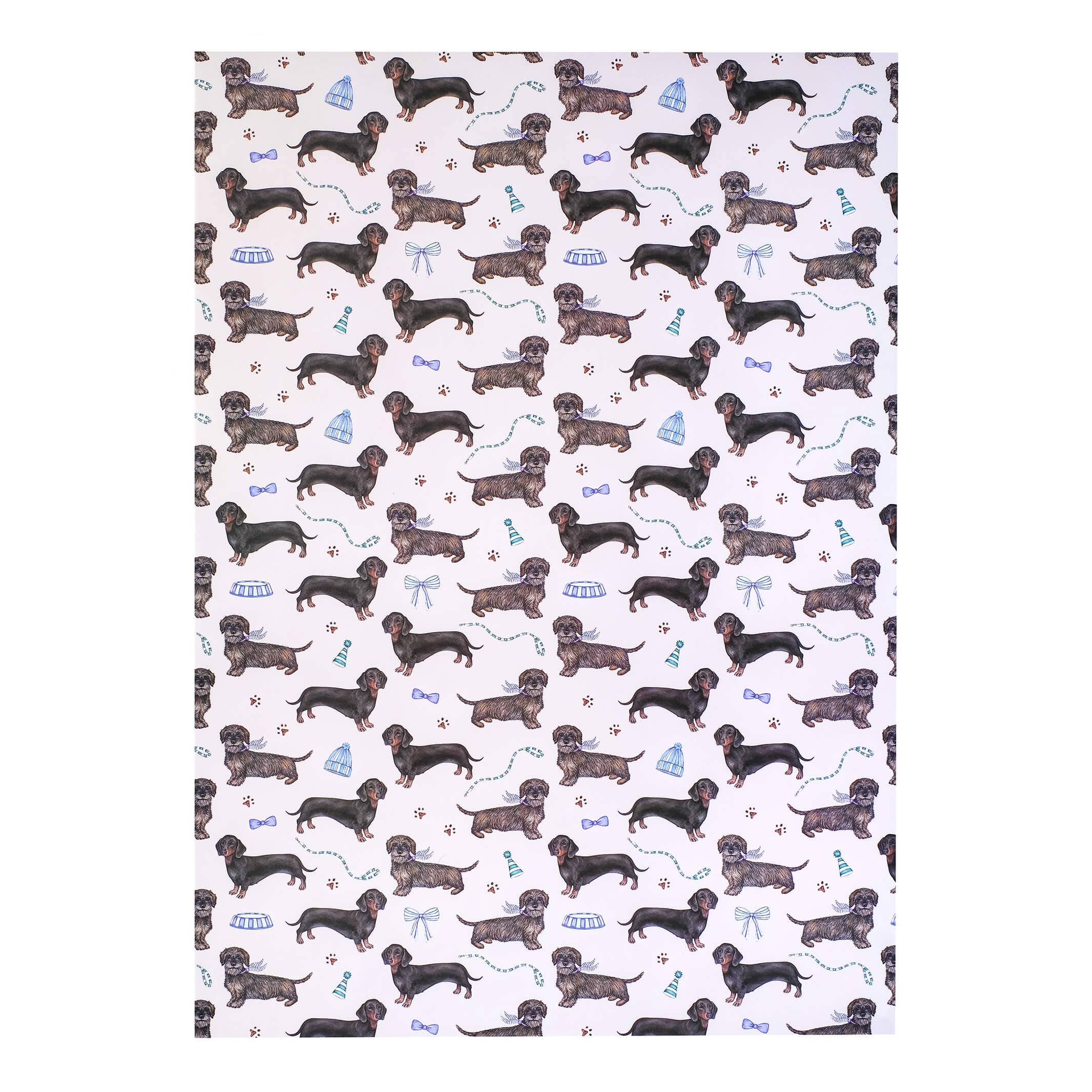 Lottie Murphy - Wholesale Flat Wrap - Dachshund Wrapping Paper1