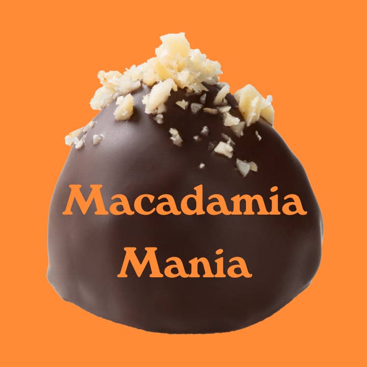 Cioccolatini ai datteri: Macadamia Mania (biologico) per la vendita all'ingrosso da parte di djoon
