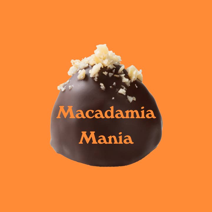 djoon - Vente Friandises enrobées de chocolat - Chocolats aux dattes : Macadamia Mania (bio)
