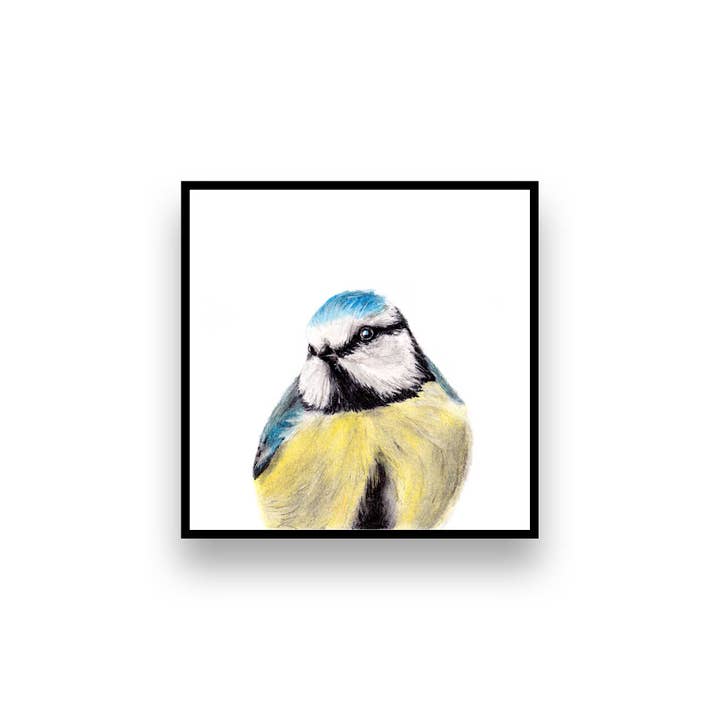 Decoração de parede de sala de estar de pássaros - impressão de arte bluebird por atacado de Kristie Lyn Studios