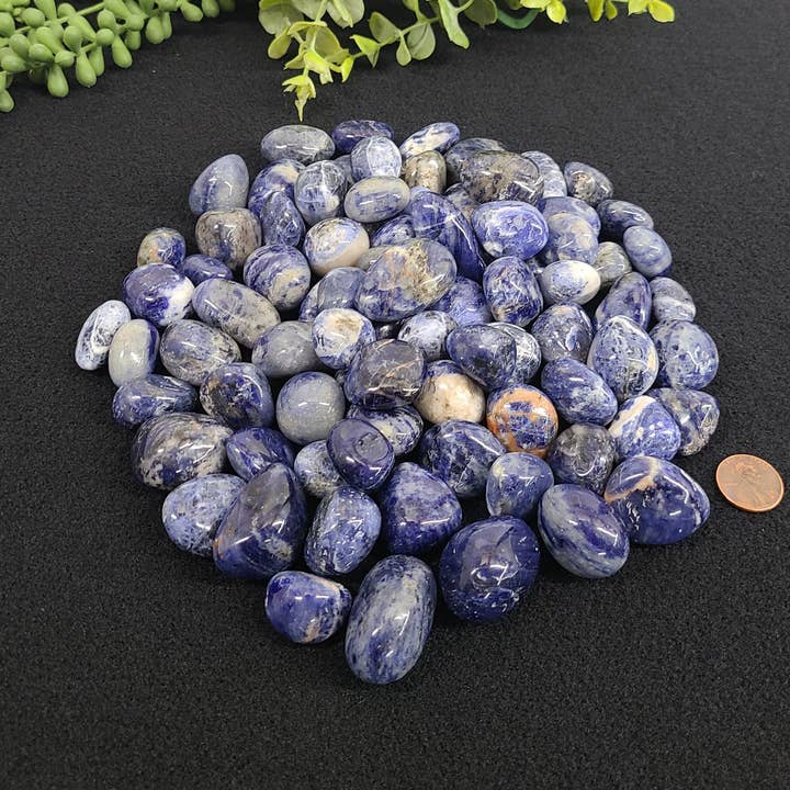 Sodalite (1kg/2.2 lbs.) Tumbled Stone 20-25mm for wholesale by Meraki Gemstones