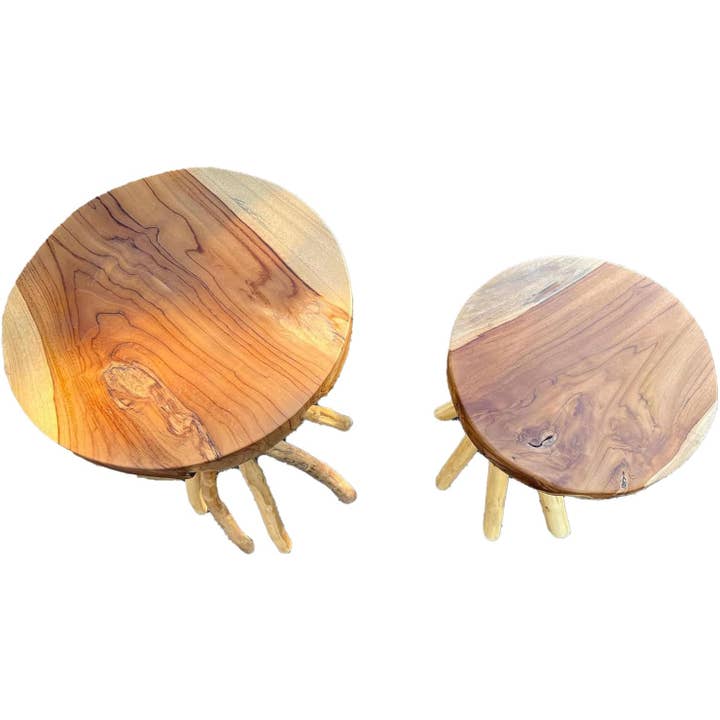 OMA - Eclectic Home - Wholesale Coffee Table - Solid Teak Wood End Table With Branched Legs Home Decor2