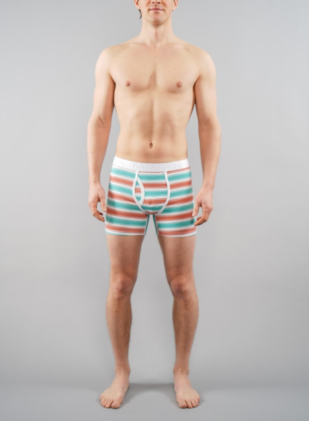 Fahrenheit – Roupa interior - Homem por atacado – Boxer Brief/Roupa interior masculina Coral & Green Stripe Algodão2
