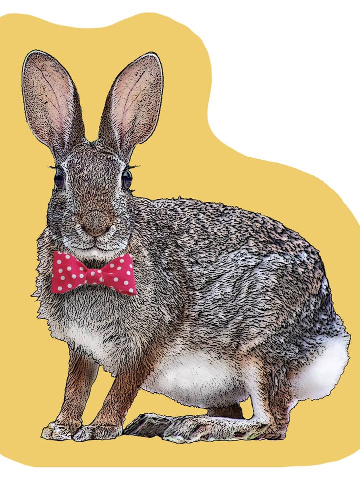 bunny with bowtie placemat for wholesale by Alphie and Ollie