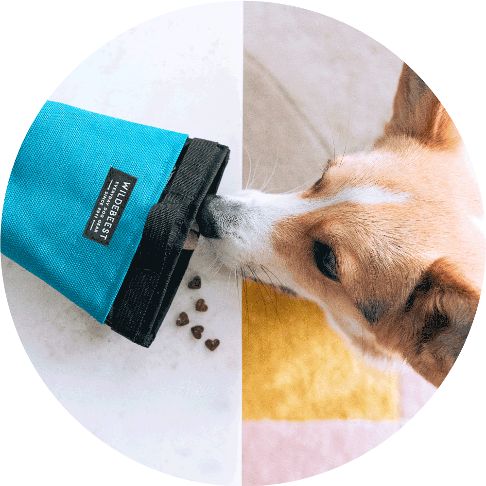 Wildebeest - Wholesale Pet Treat Bag - Dog - Alamo Magnetic Dog Treat Pouch12