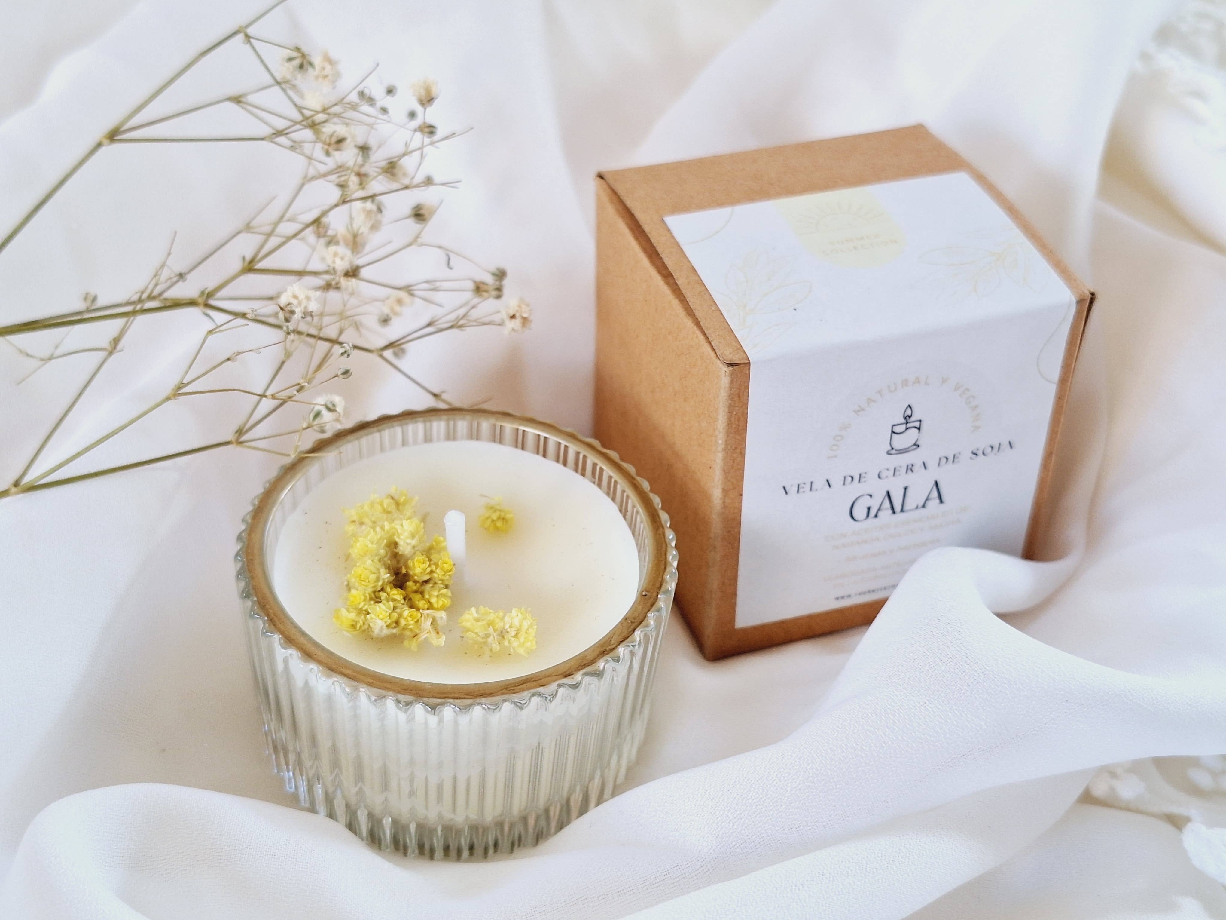 Your Nice Things - Candles - - Wholesale Jar/Filled Candle - Soy candle in glass jar (mini) sweet orange and sage1