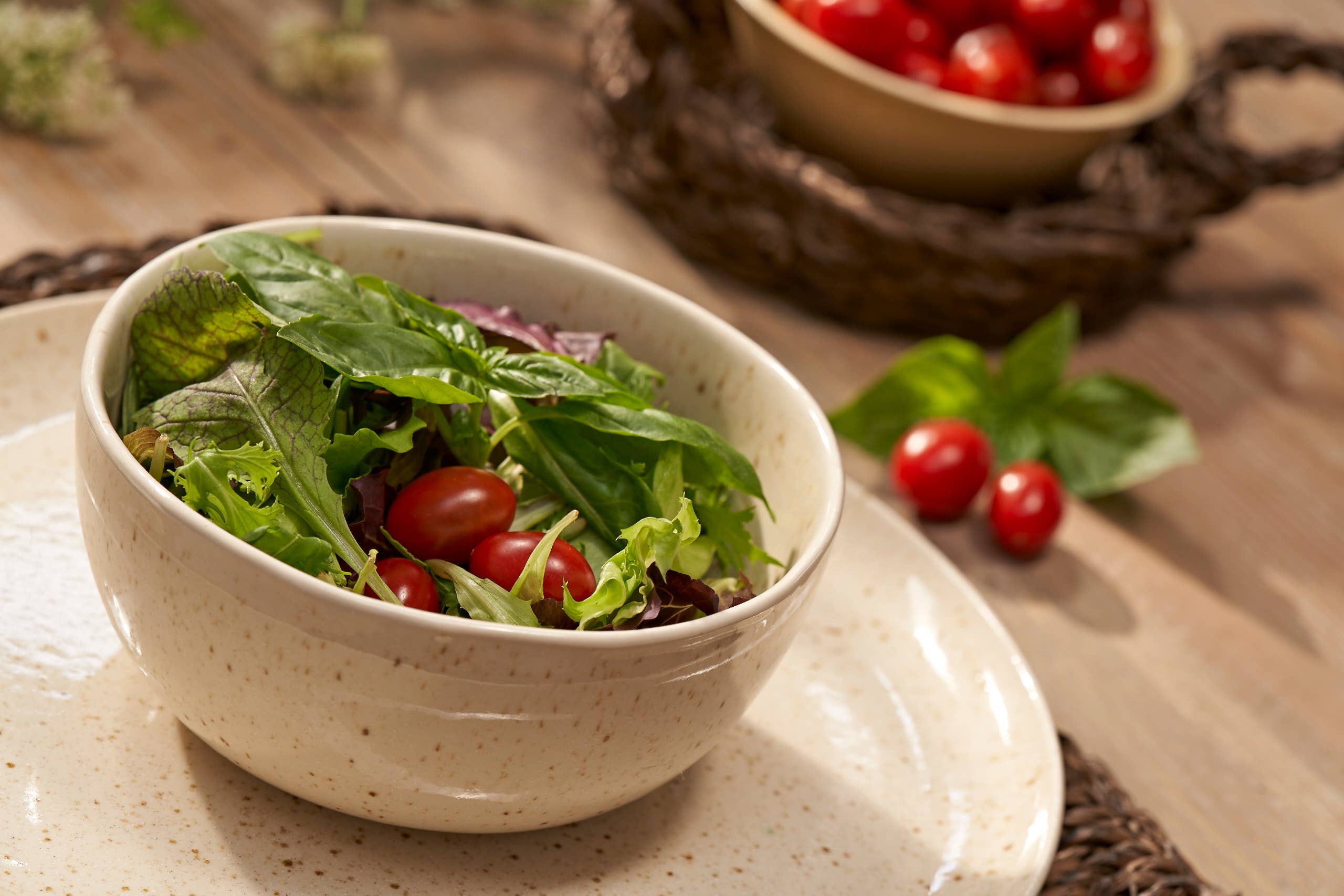 Luxe Lodge - Wholesale Decorative Plate/Dish/Bowl - Ceramic bowl7