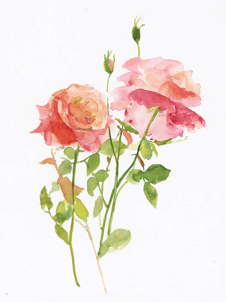 Roses Sweet Pink - Glückwunschkarte, zusammengeklappt für den Großhandel von Ping He Art