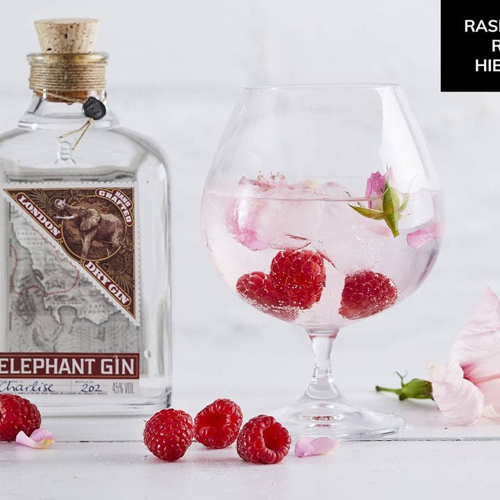 Secco Drink Infusion - Wholesale Cocktail Mix/Syrup - Signature Variety Box4